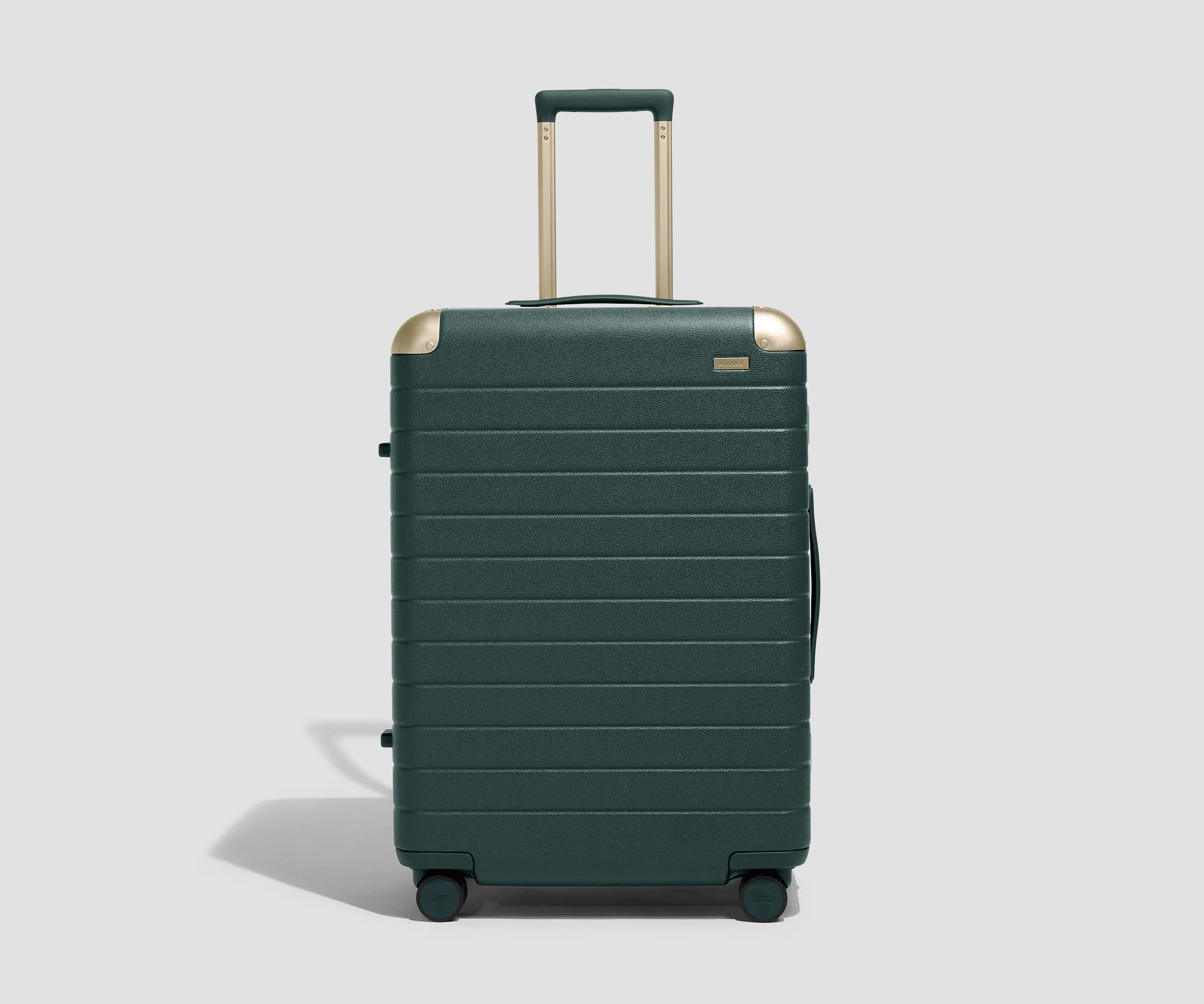 The Aluminum Edge Medium in Ivy Green - Image 2