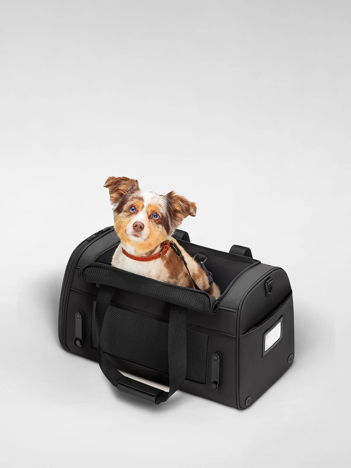 The Pet Carrier - Image 4