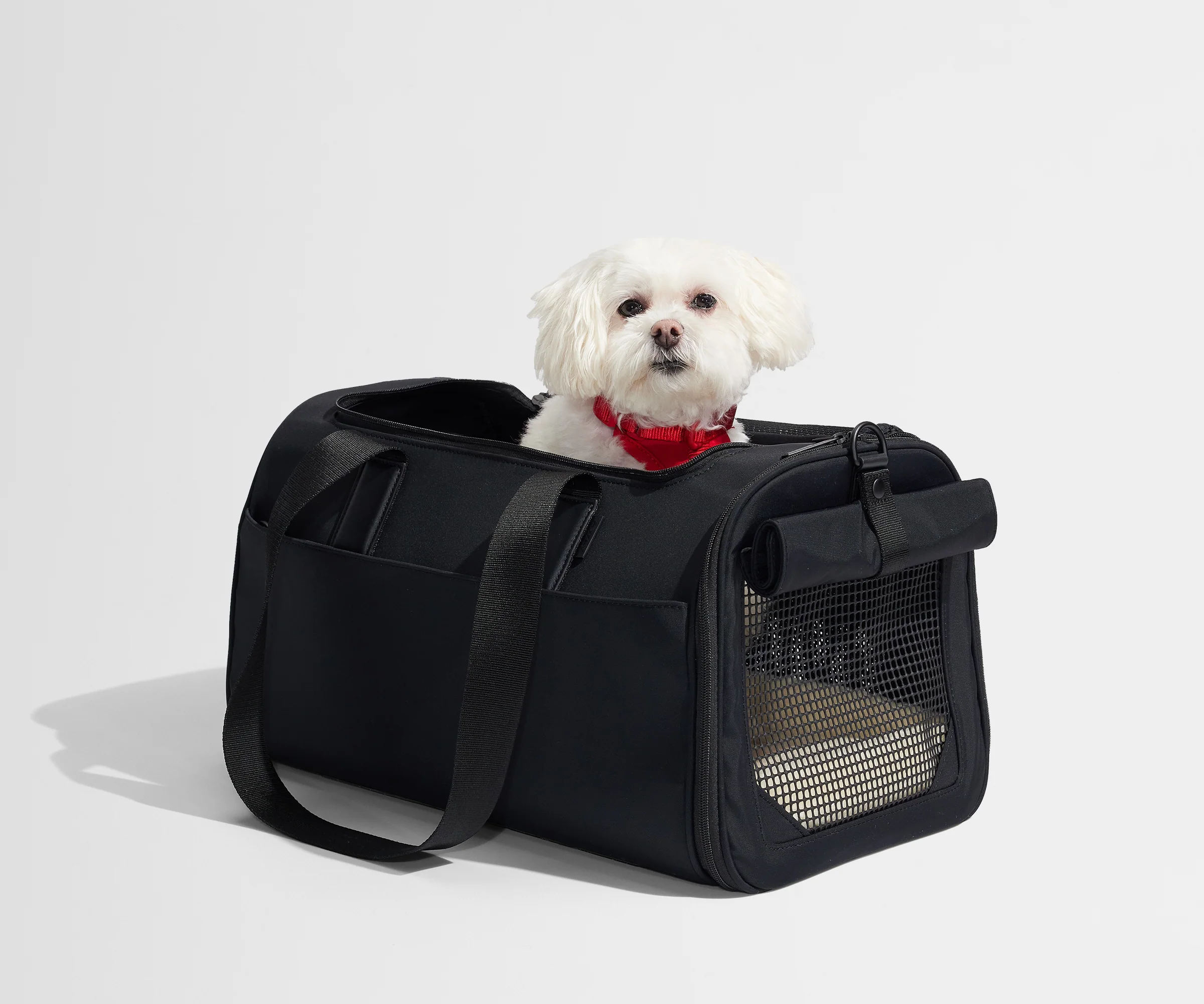 The Pet Carrier in Jet Black - Image 4